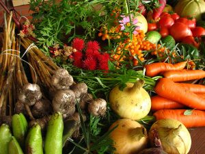 800px-Ecologically_grown_vegetables